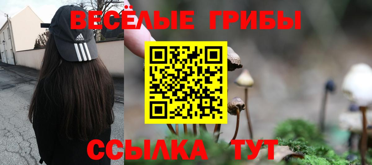 Галлюциногенные грибы GOLDEN TEACHER  Вход с VPN  Чернушка  где продают наркотики  Галлюциногенные грибы Psilocybe 