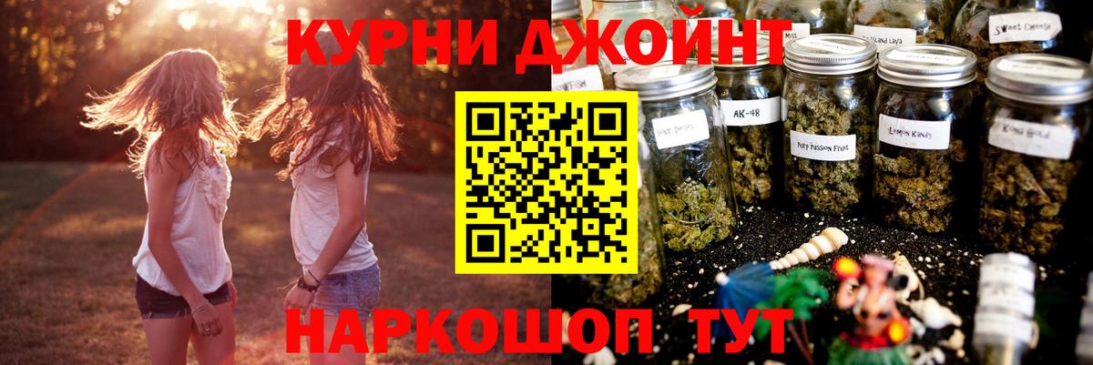 Конопля MAZAR Чернушка